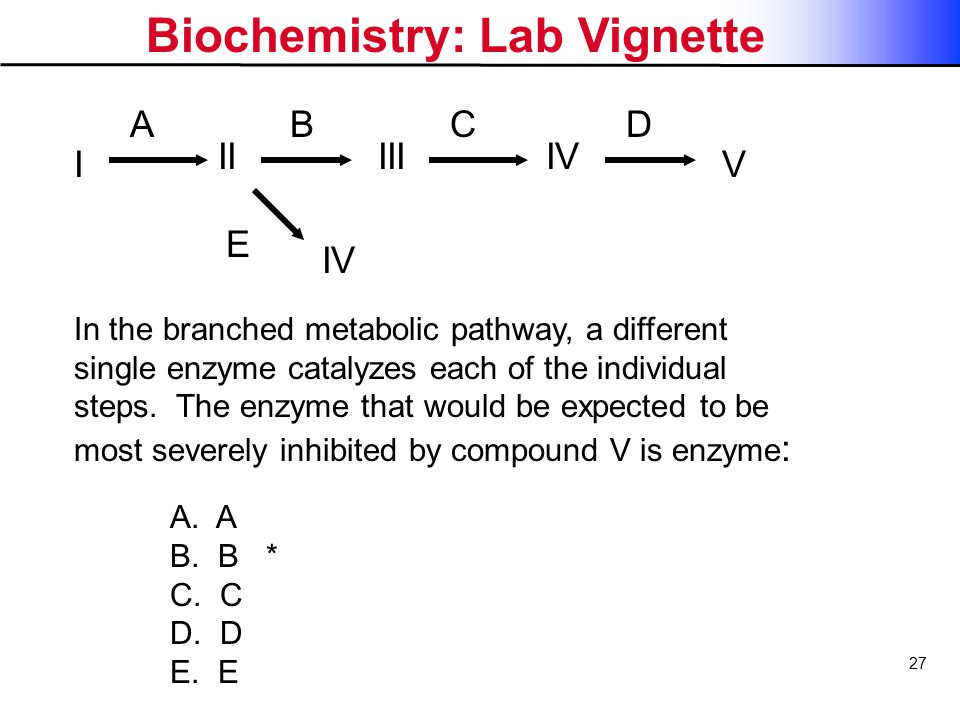 unit2 biochemistrypage